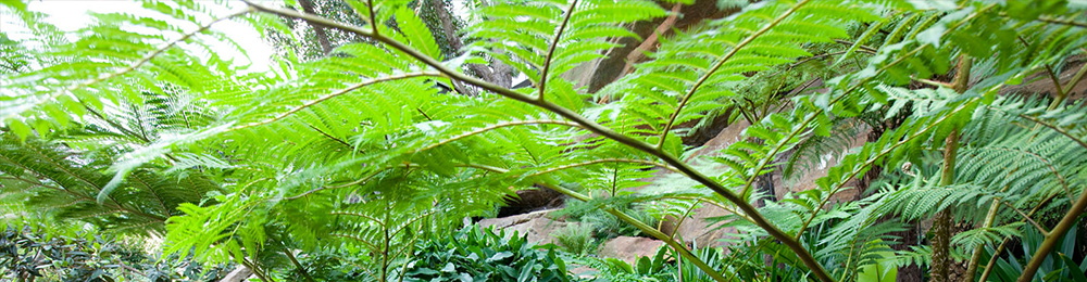 居住区花园景观设计效果图案例展示