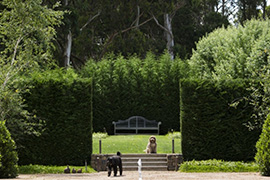 苏州别墅花园设计