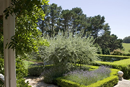 现代别墅花园设计