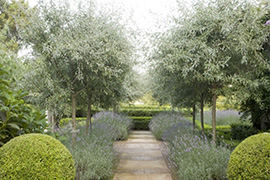 现代别墅花园设计