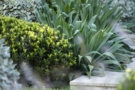 现代别墅花园设计