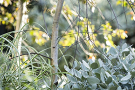 现代别墅花园设计