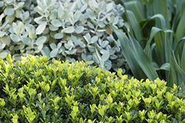 现代别墅花园设计