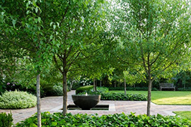 现代别墅花园设计