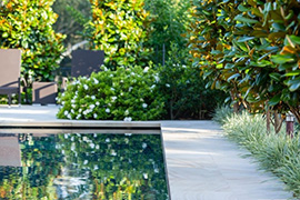 现代别墅花园设计