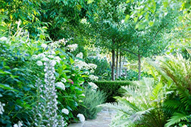 现代别墅花园设计