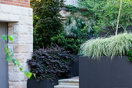 现代别墅花园设计